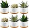 6 Pcs Bible Verse Ceramic Succulent Pots with Bamboo Tray (Bright Style)